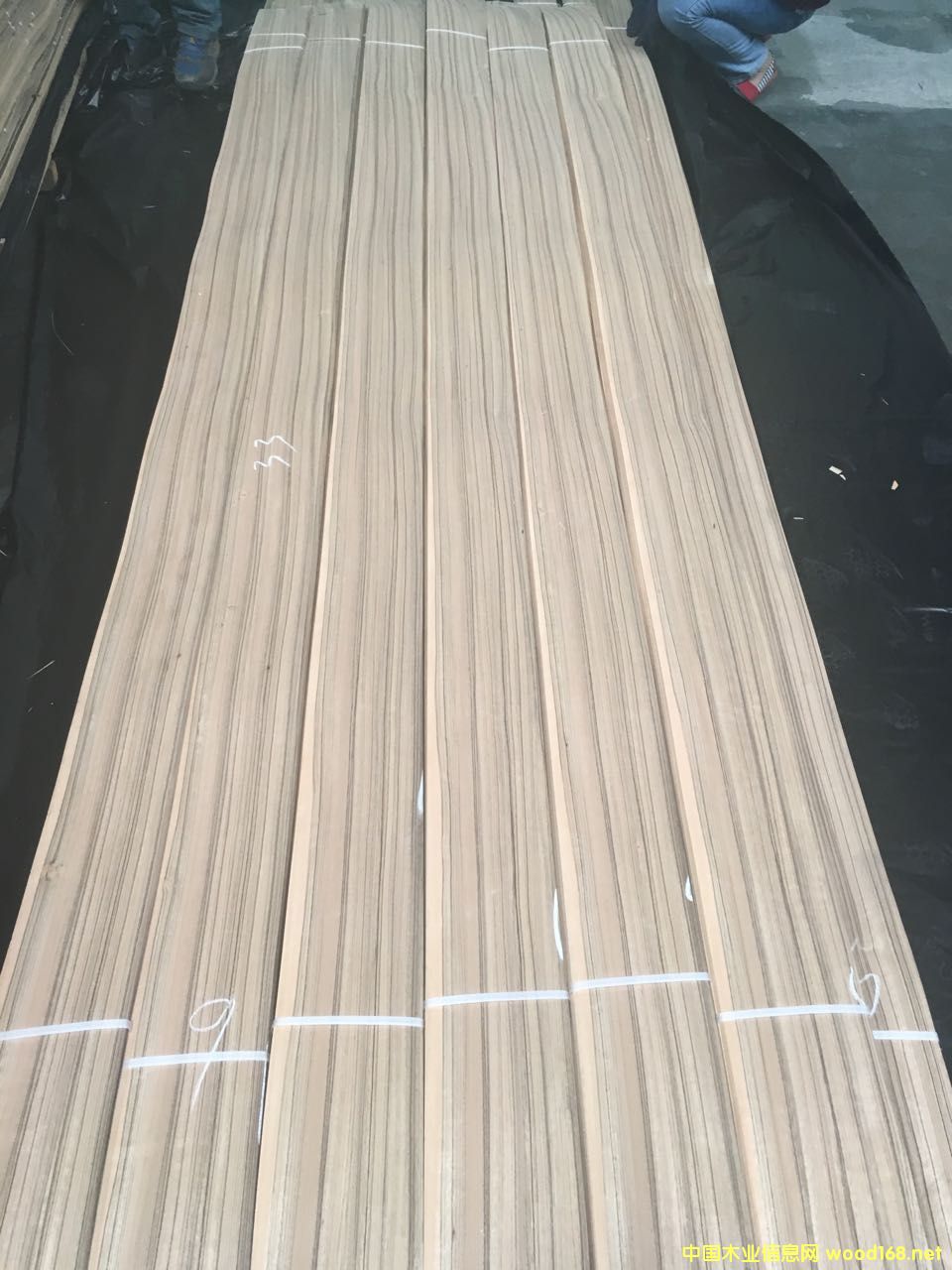 ��ľ�����޺��ң�