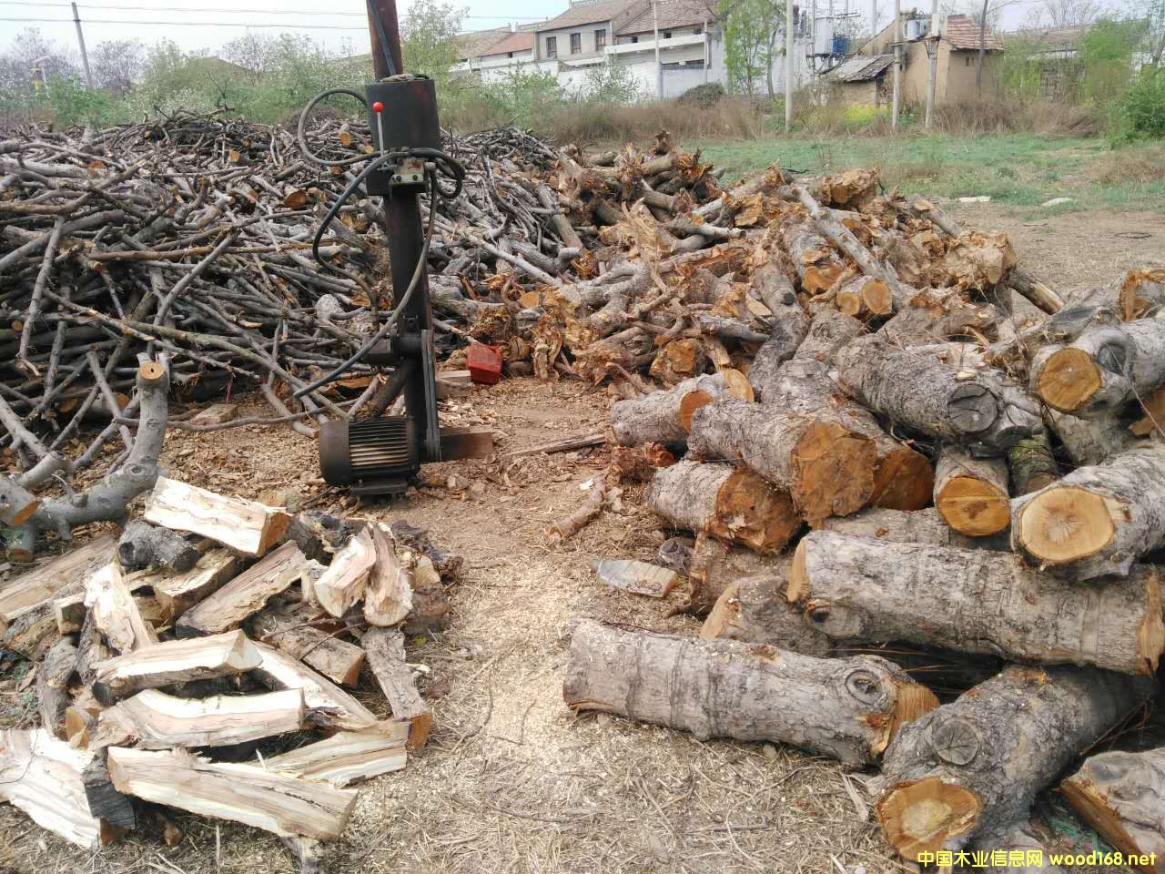 ��ľ����