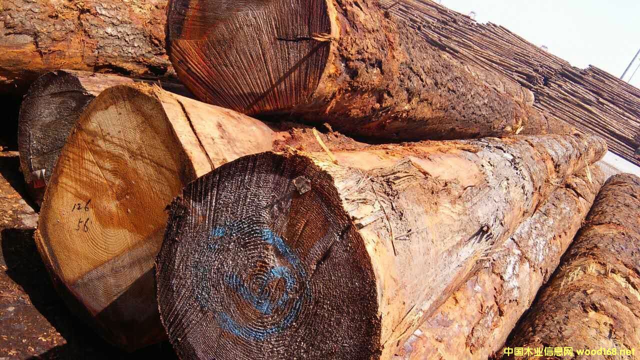 ������ԭľ���󏽱����ĵ�Ԕ��(x��)��B