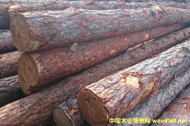 Pine Logs��Ԕ��(x��)��B