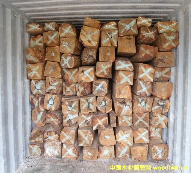 ���T(m��n)��(hu��)�����̴�M(j��n)�ڈ�(b��o)�P(gu��n)����