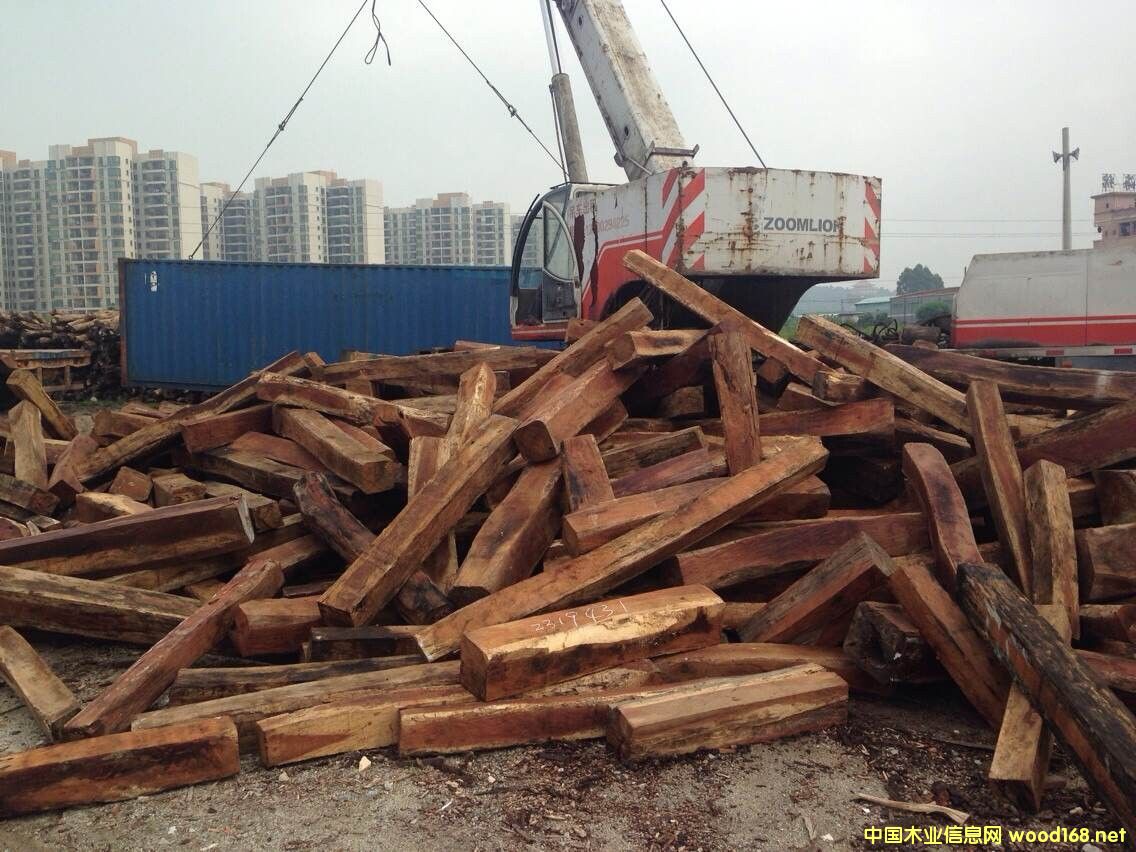 �ϓ�W���S̴�M�ڈ��P����