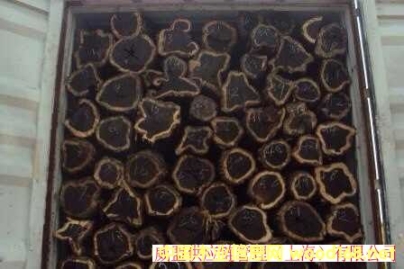 �Ϻ����Ǟ�ľ�M(j��n)�ڈ�(b��o)�P(gu��n)����