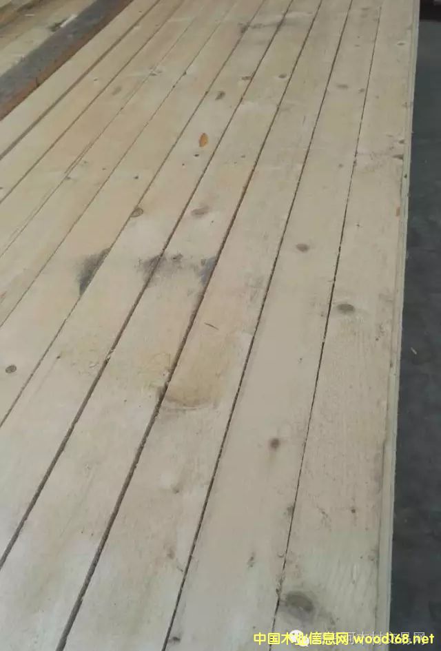 �����~�[�ɴ����