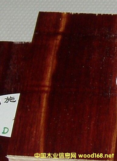 �c���鿴��ȩ�z����ģ���Ԕ��(x��)�Y��