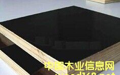 ������Ĥ��