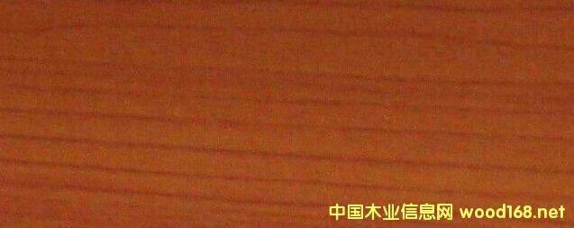 �c���鿴��(x��)ľ���p�N������Ԕ��(x��)�Y��