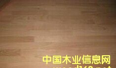 �����t��ָ�Ӱ�