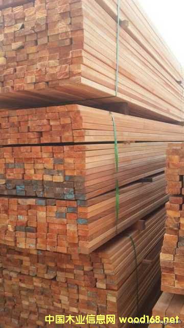 �c(di��n)���鿴ɽ��ľ3�Ŵ�DƬ