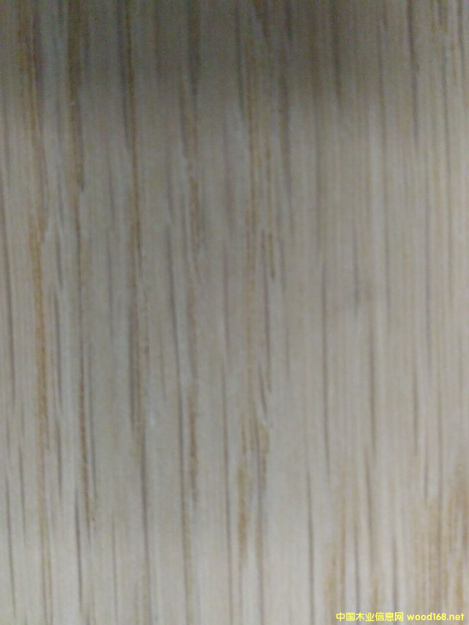 ����ľ��Ԕ��(x��)��B