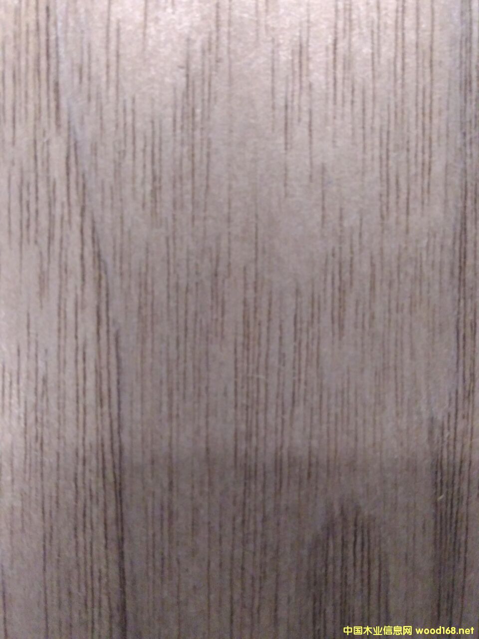 �ں���ľ��Ԕ��(x��)��B