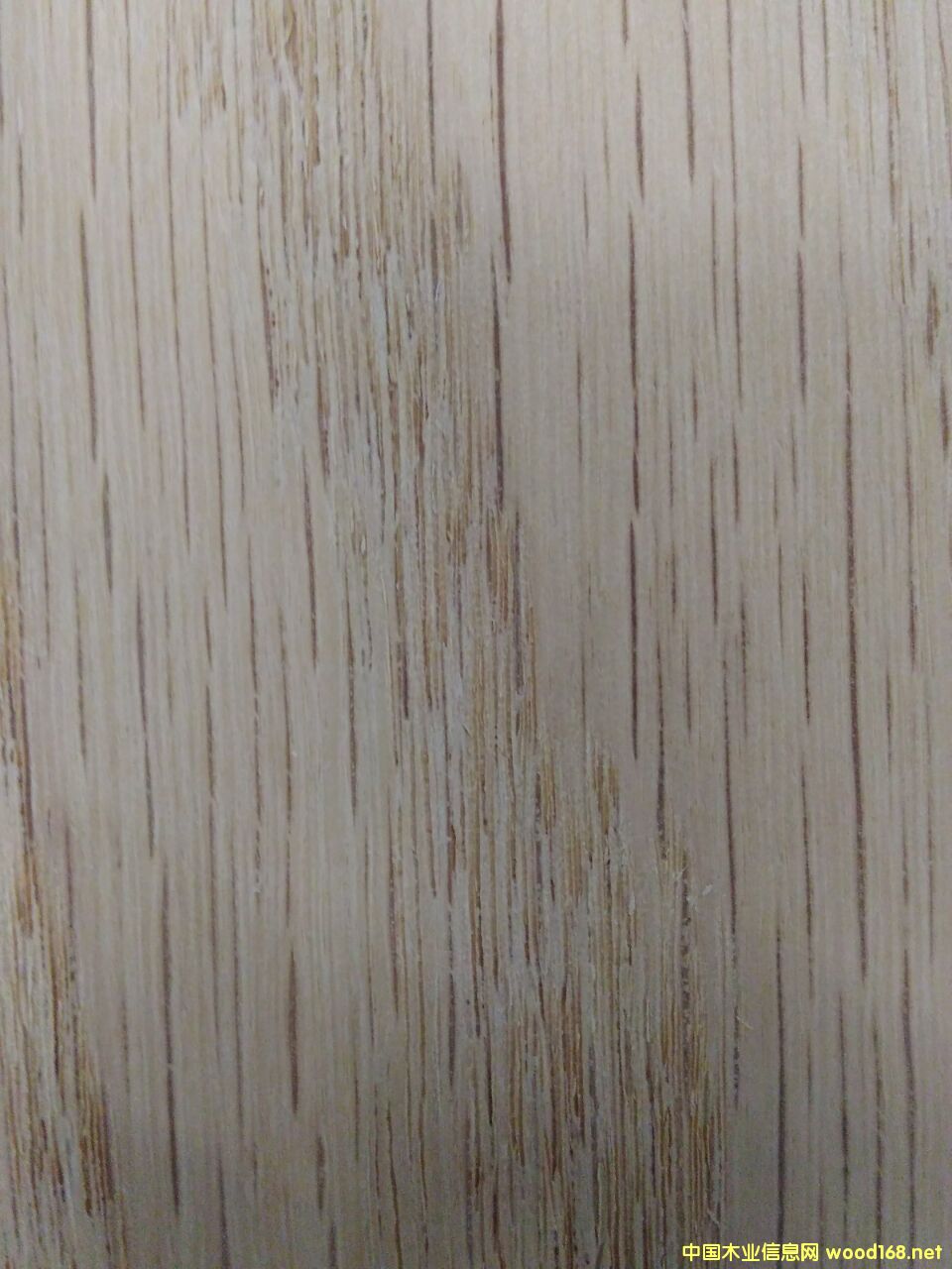 �t��ľ��Ԕ��(x��)��B