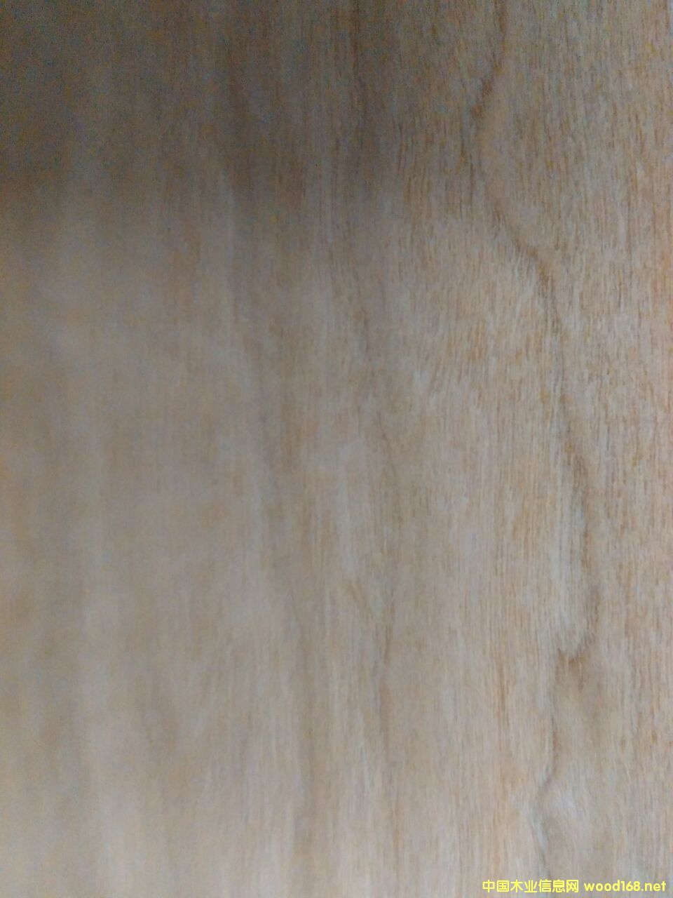 ����ľ��Ԕ��(x��)��B