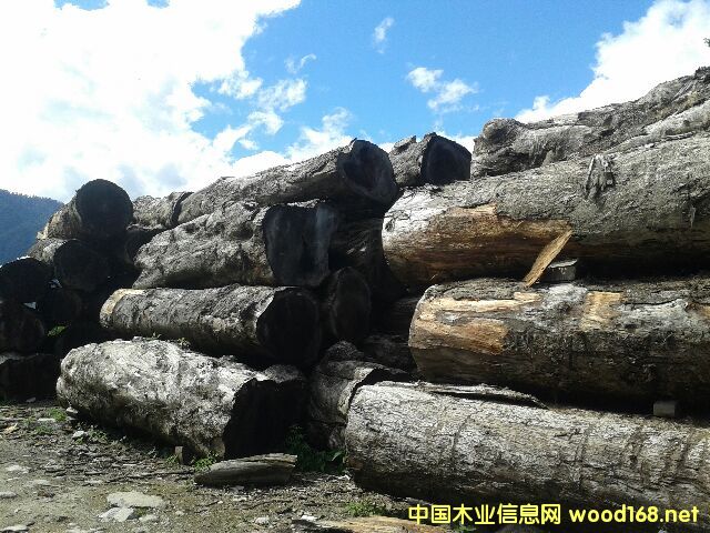 �����ľԭľ