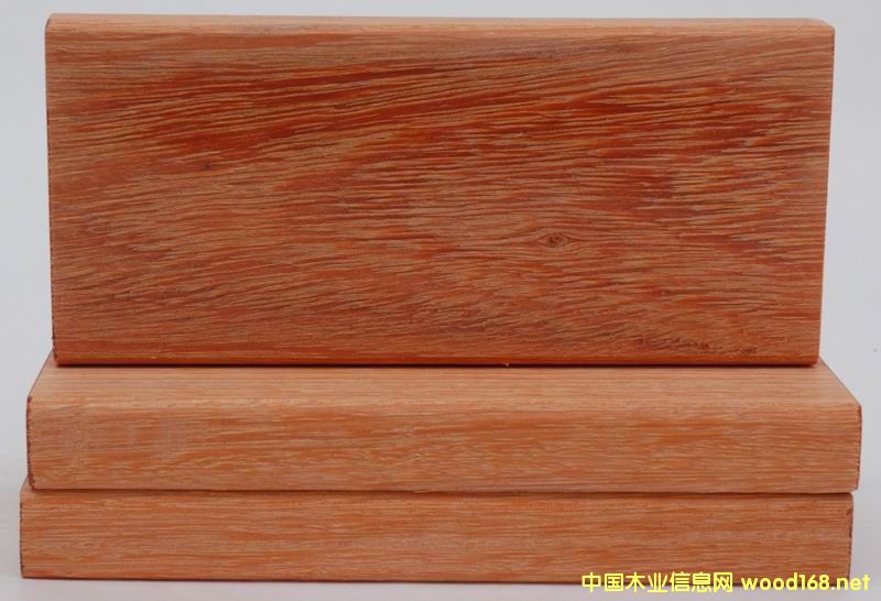 �T���Ԕ��(x��)��B