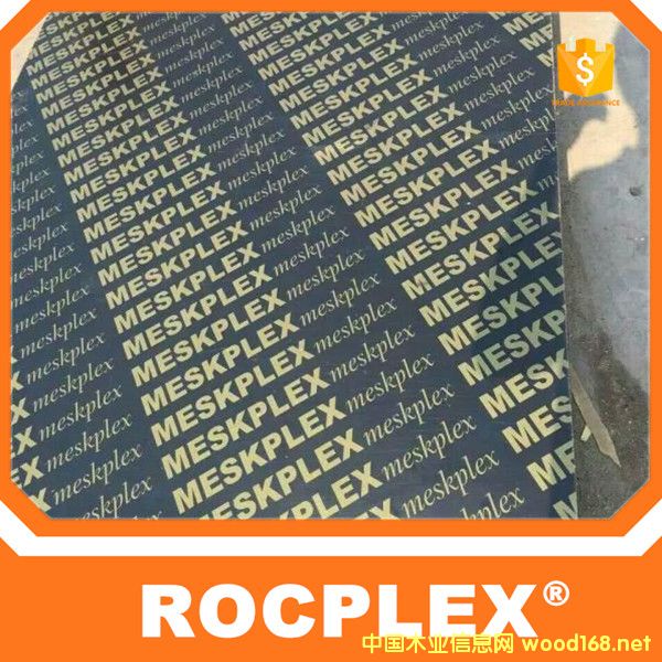 �c���鿴��ľ�z�ϰ�Ŵ�DƬ