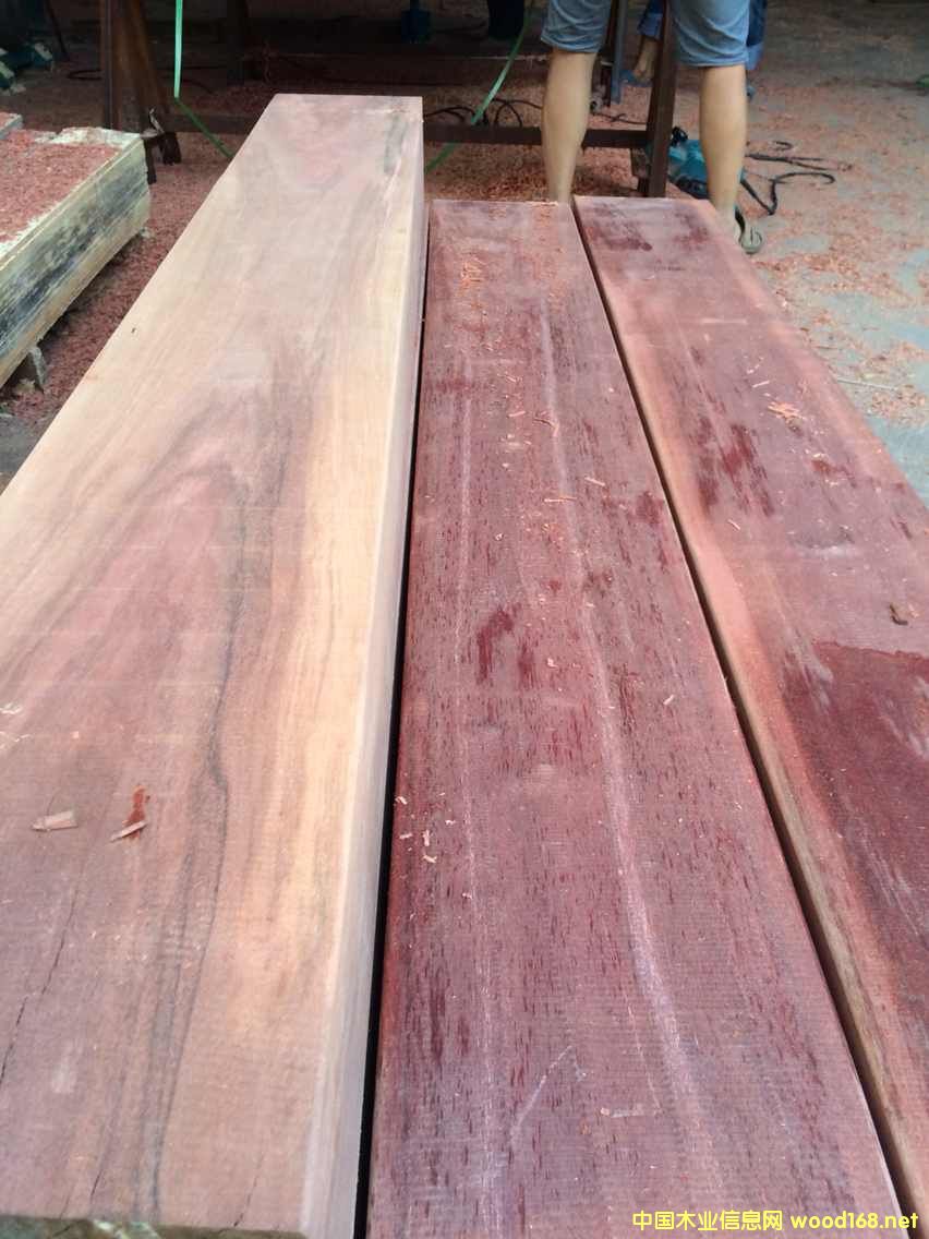 ɽ��ľ��Ԕ��(x��)��B