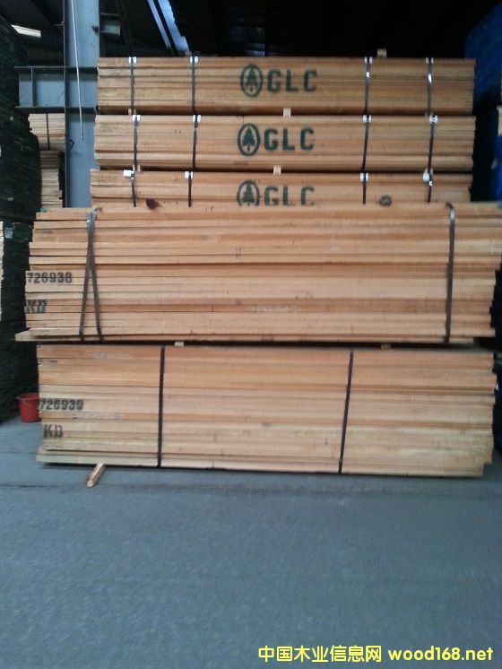 �c���鿴�t��-�߻�˹�Ŵ�DƬ