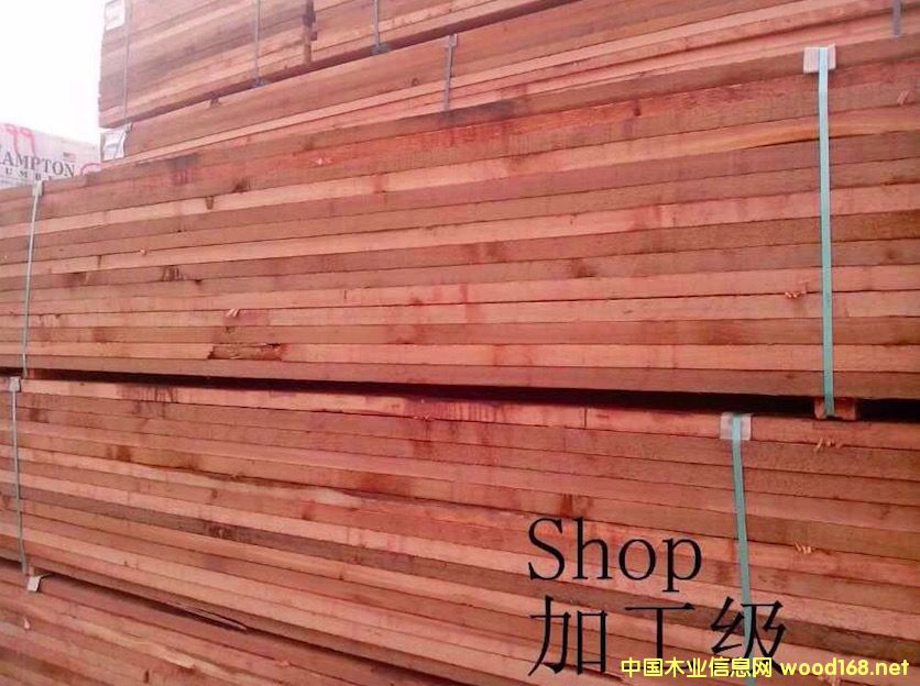 ���ô�tѩ�ɵ�Ԕ��(x��)��B