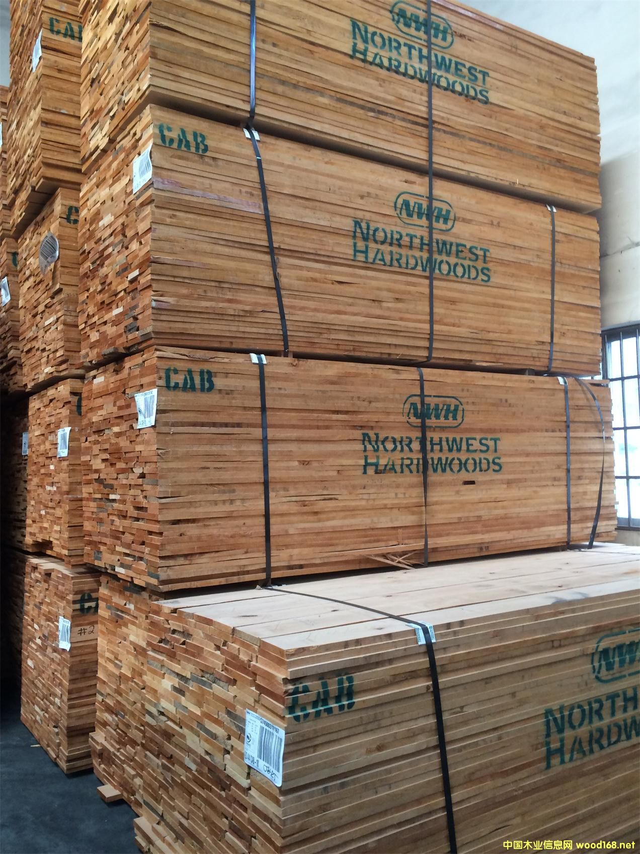 ��������ľ��Ԕ��(x��)��B