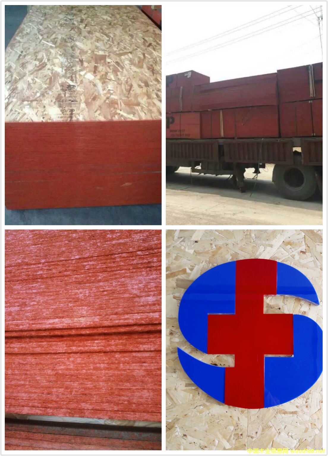 ���ô��M�ښW�ɰ�