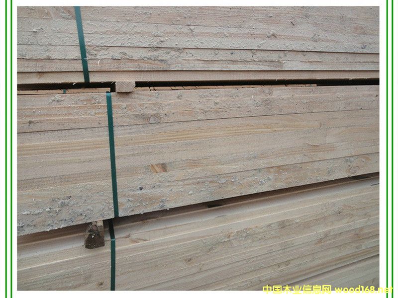 輻射松的詳細(xì)介紹