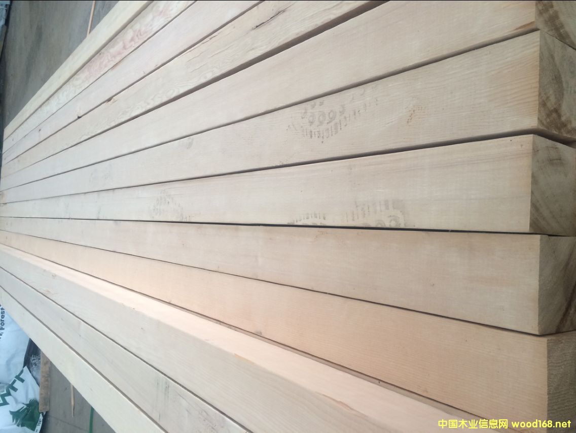 �o��(ji��)�Fɼ