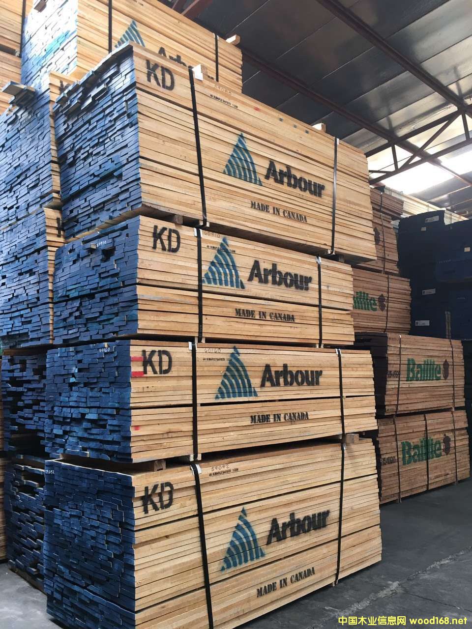 �t��ľ��Ԕ��(x��)��B