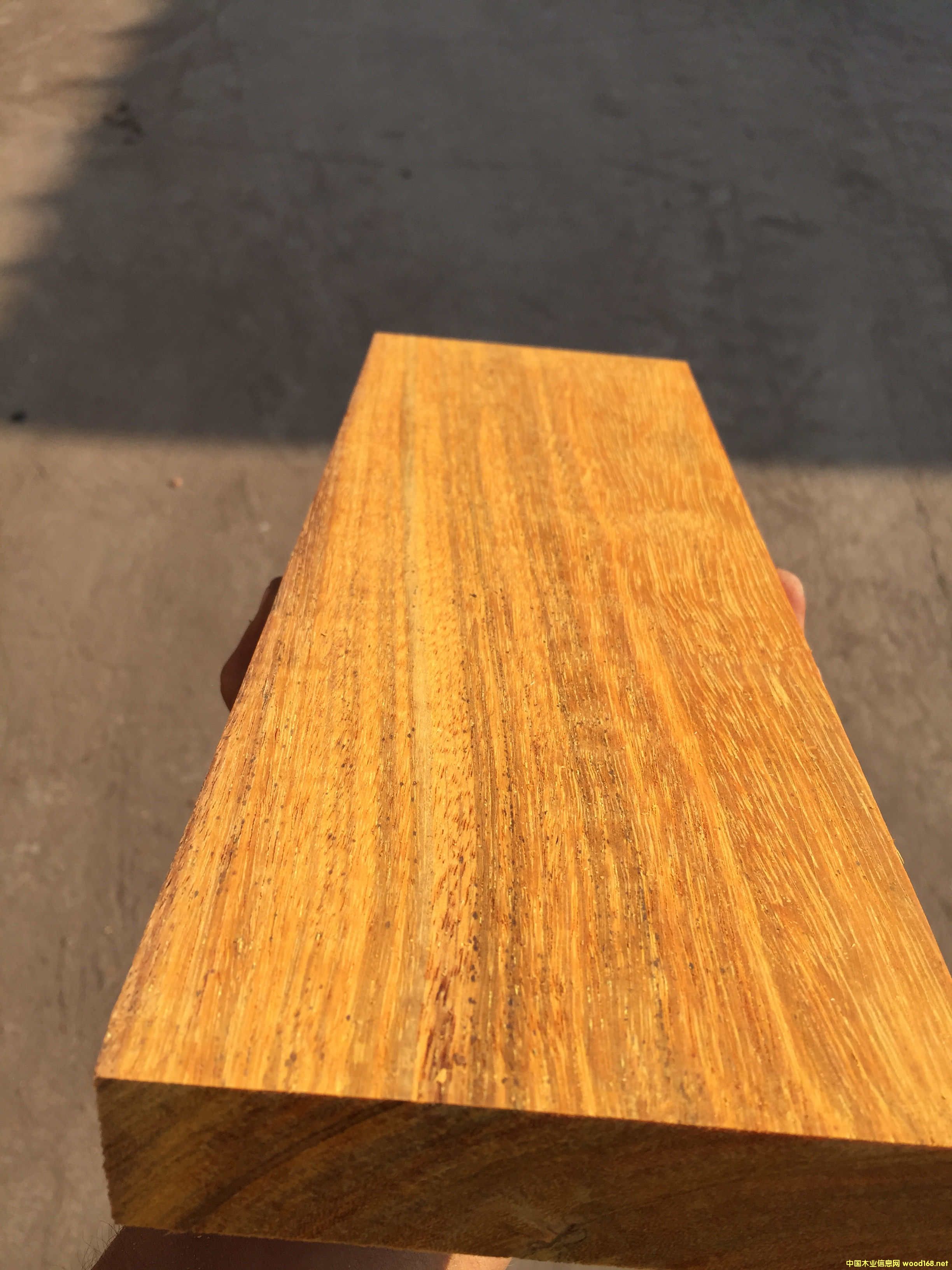 ӡ�Ფ�}���Ԕ��(x��)��B