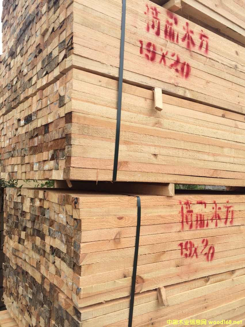 ľ����Ԕ��(x��)��B