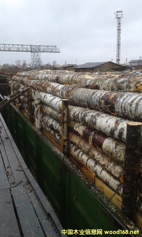 ���_˹�ט�ԭľ