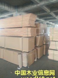 �c���鿴��ľƴ��Ŵ�DƬ