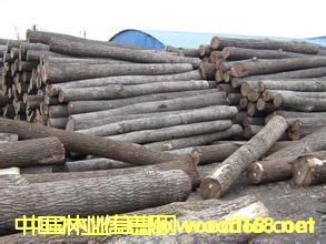 ԭľ��Ԕ��(x��)��B