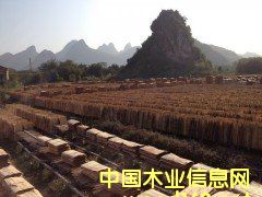 ��ľ�Aо��Ԕ��(x��)��B