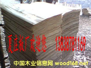 ��ľ�Aо��Ԕ��(x��)��B