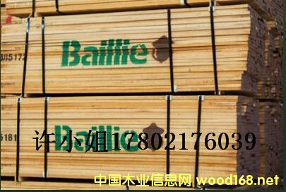 ��������ľ�����Dľ