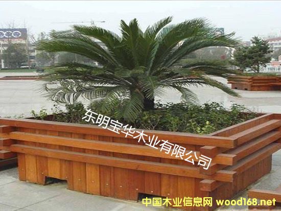 ����ľ����