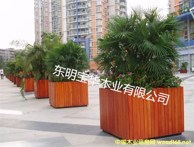 ����ľ�����Ԕ����B