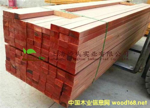 �c���鿴�t�̈́�ľ��Ԕ���Y��