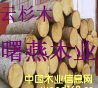 [��] ���ô���ɼľԭľ������ľ��������ľ��