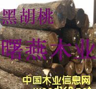 �ں���ľԭľ�������ľ��