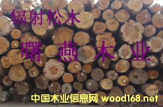 �����mݗ���ɵ�Ԕ����B