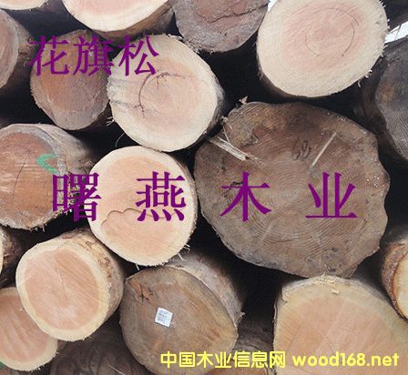 ����(gu��)������ԭľ