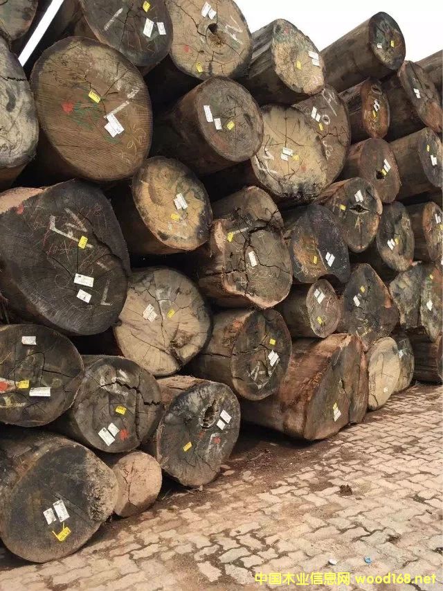 �M(j��n)��ԭľ���l(f��)��Ԕ��(x��)��B