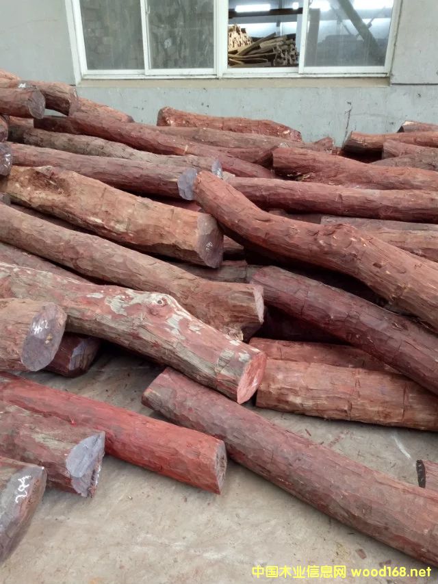 Ѫ̴���l(f��)��Ԕ��(x��)��B