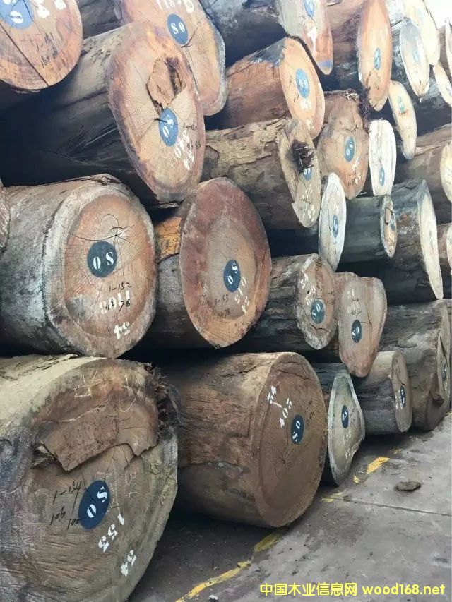 �t�Fľ���l(f��)��Ԕ��(x��)��B