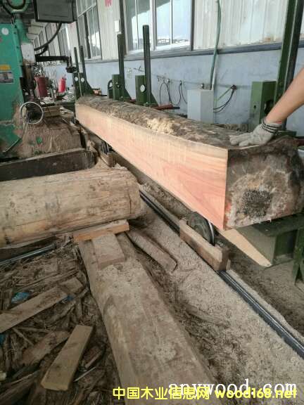 玫瑰木的詳細介紹