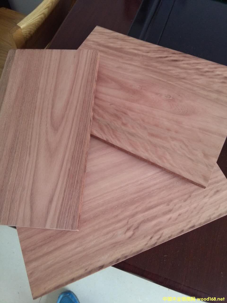 õ��ľ��Ԕ����B