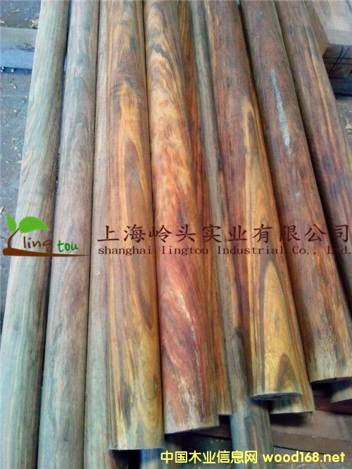 ���޲��}���Ԕ��(x��)��B