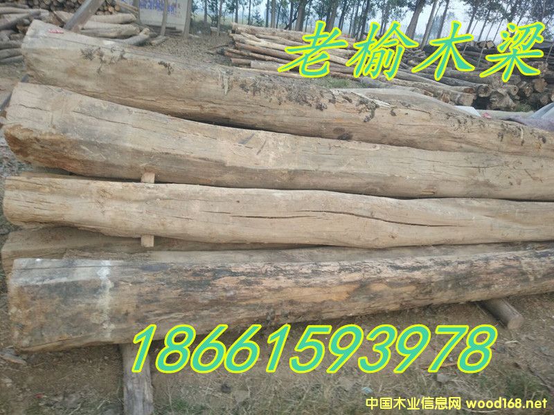 ����ľ��